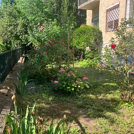 Apartment Csendes Zoeldoevezeti
